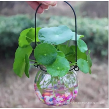 Pumpkin shape glass jar,hanging plants jar,clear glass candle jar with wire handle.